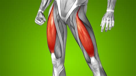 quadriceps kasları